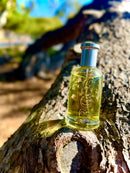 Set of 3 - Hugo Boss Unlimited, Night &amp; Bottled